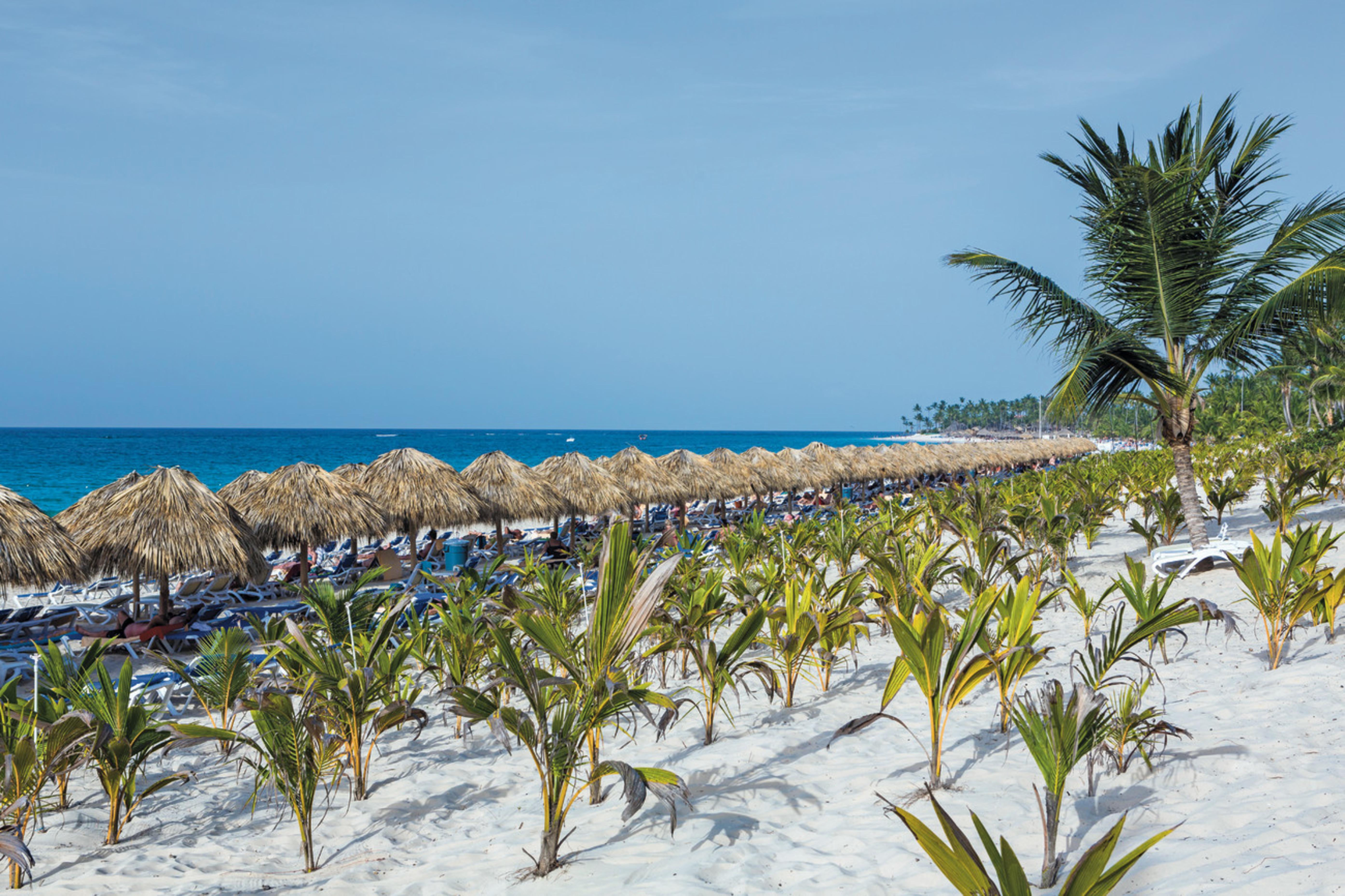 Riu Republica (Adults Only) Hotel Punta Cana Bagian luar foto